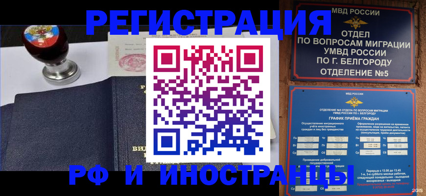 временная регистрация поиск в Михайловке